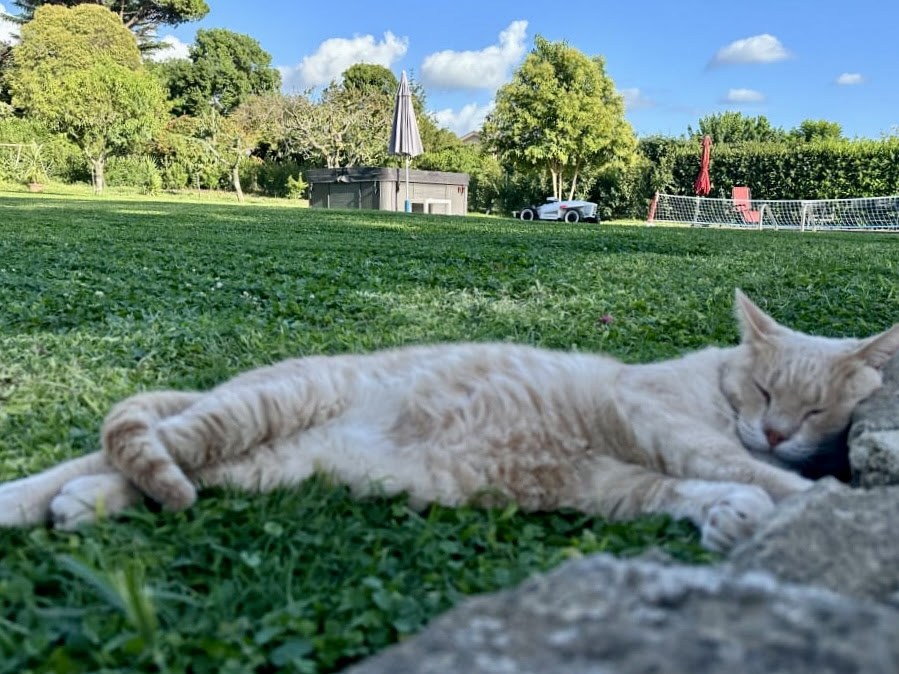 Intelligente Rasenpflege ohne Grenzen: Der Luba AWD 5000 von Mammotion