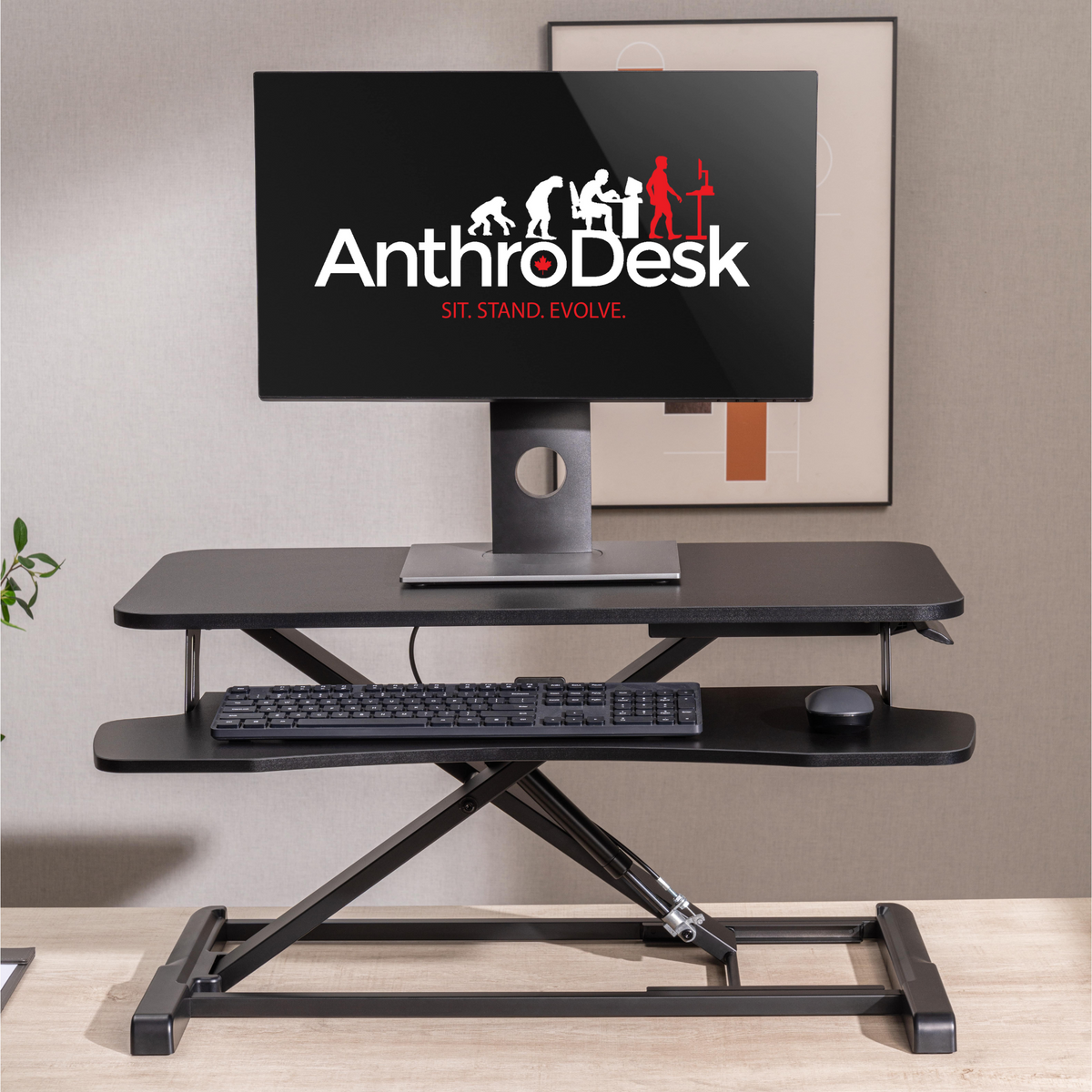 Anthrodesk Review