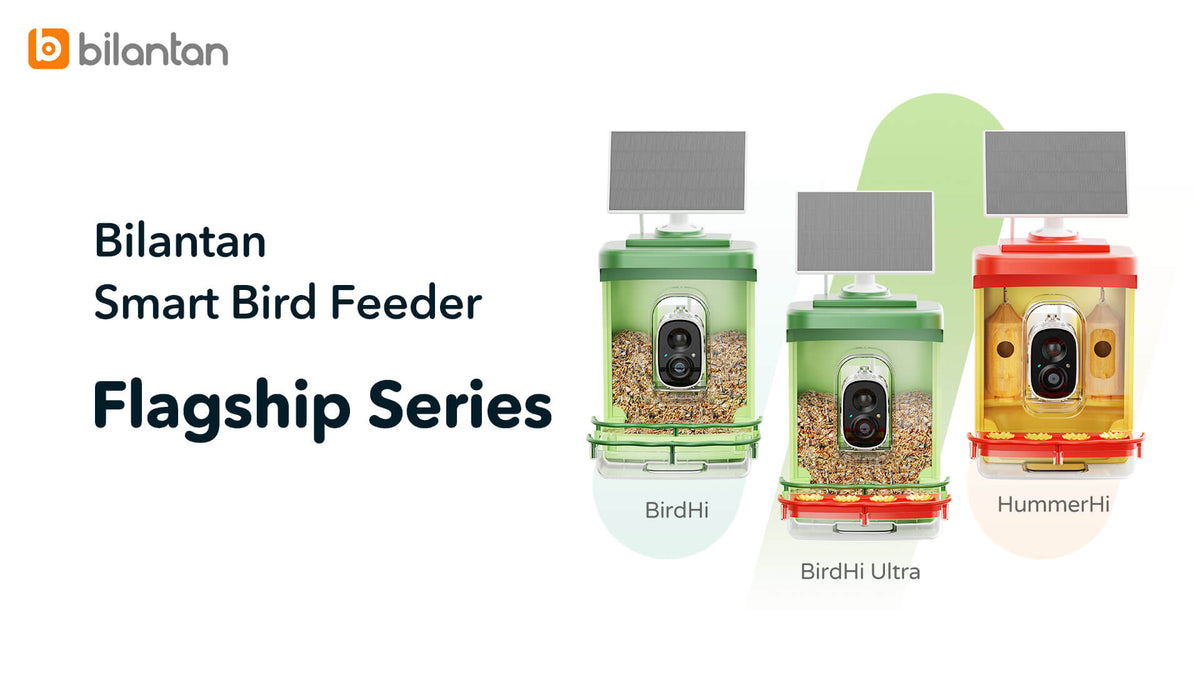 User Experience with the Bilantan Bird Feeder
