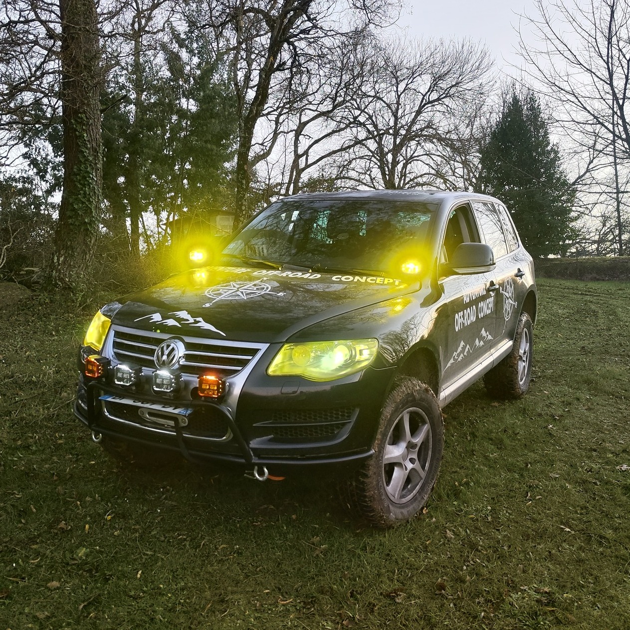 Brightening Roads Ahead Comprehensive Review of LED Colight Durable Affordable Auto Lighting