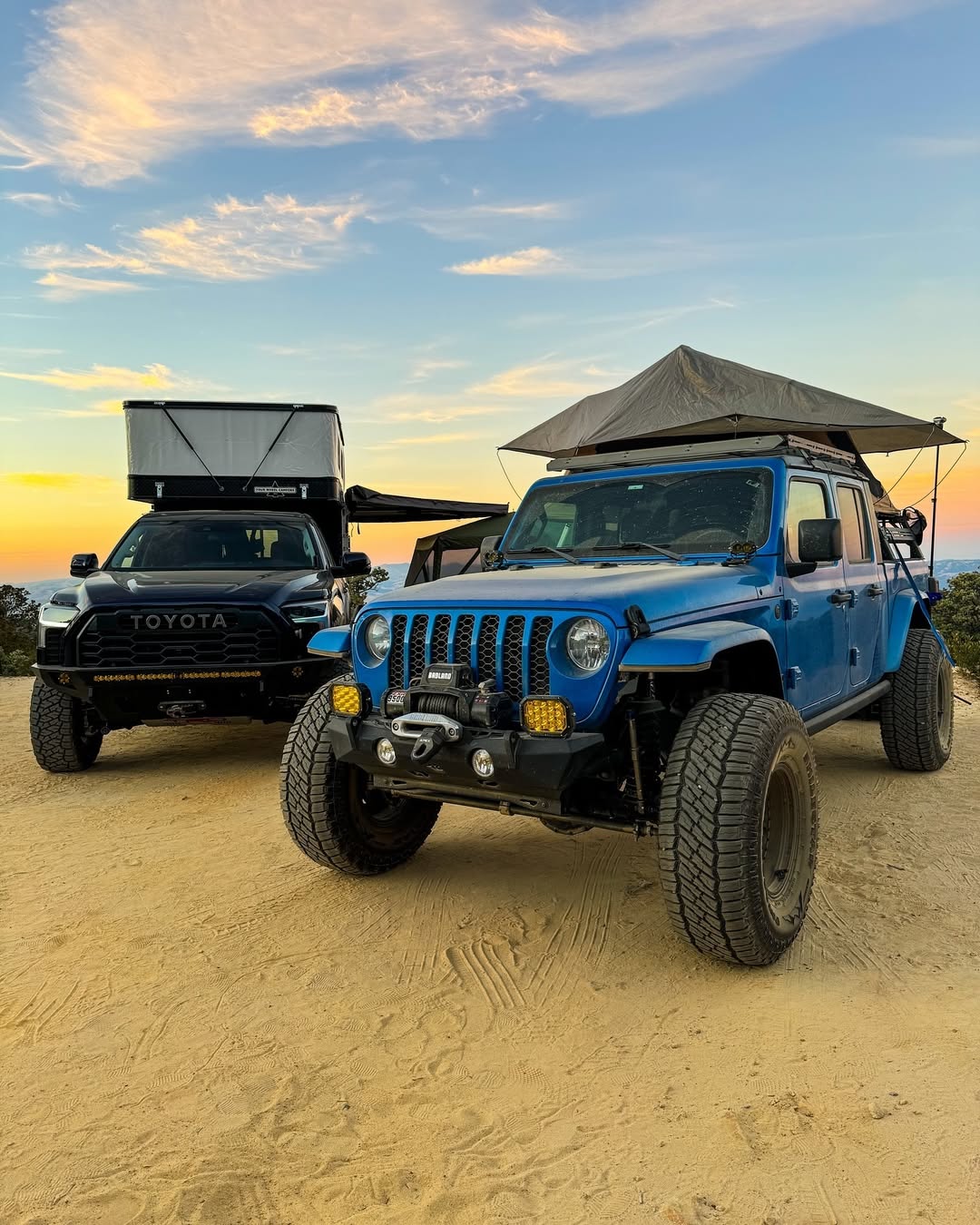 Company Background and Vision