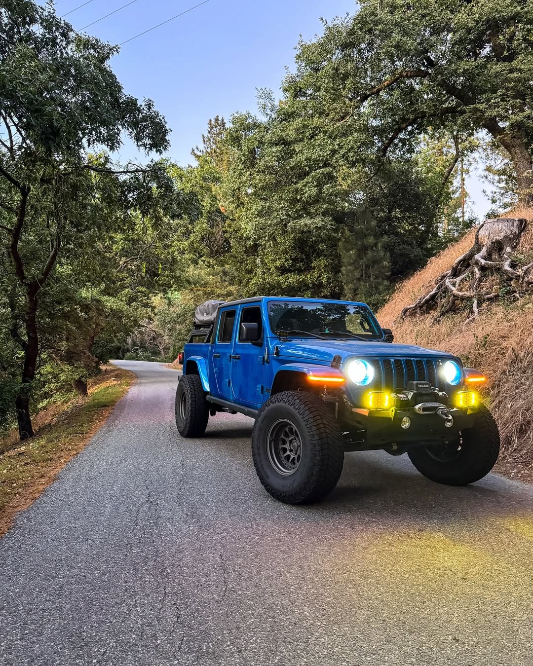 Customer Feedback & Market Reception Summary