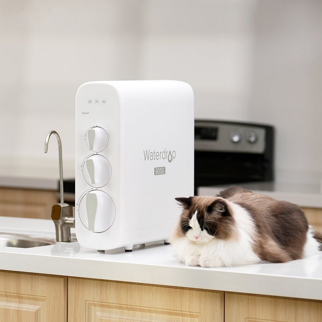 From Tap to Pure: How Waterdrop Changed the Way I Drink Water