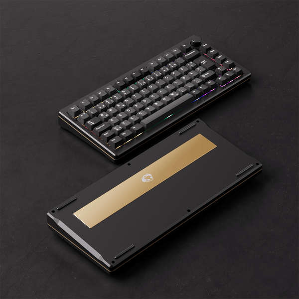 Modelle im Fokus: MOD 007B HE Black & Silver ISO von Akko Gear