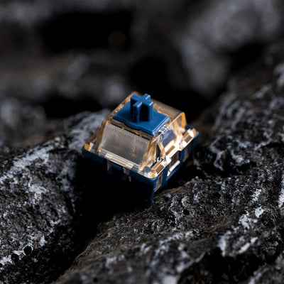 Zuverlässigkeit der Eingabe: Von Firmware bis Mikrocontroller (MCU) mit Akko Gear